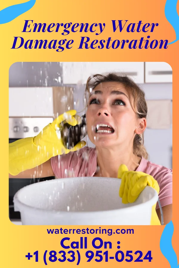 Emergency Water Damage Restoration in Essary Springs, TN