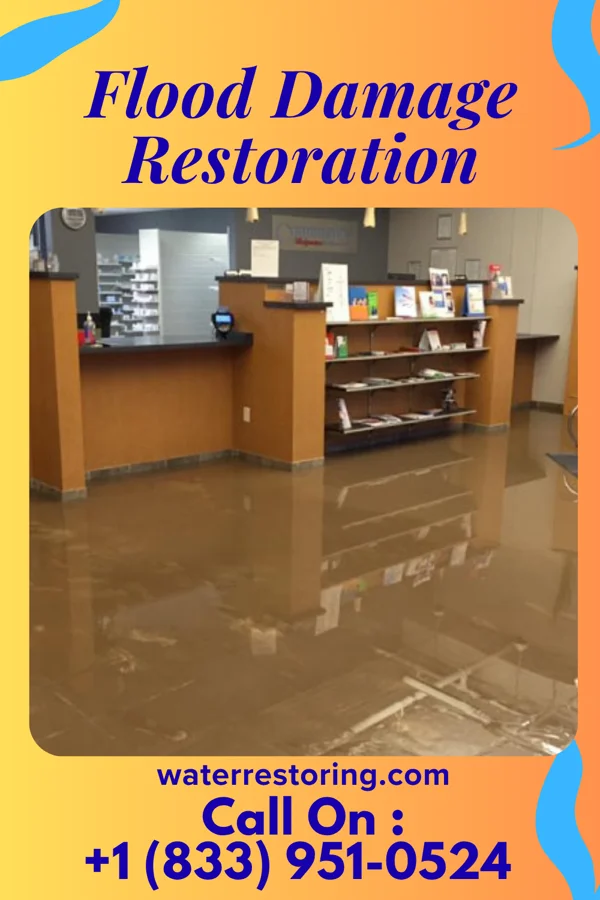 Flood Damage Restoration in Essary Springs, TN