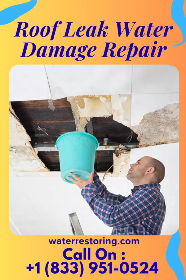 Roof Leak Water Damage Repair in Essary Springs, TN